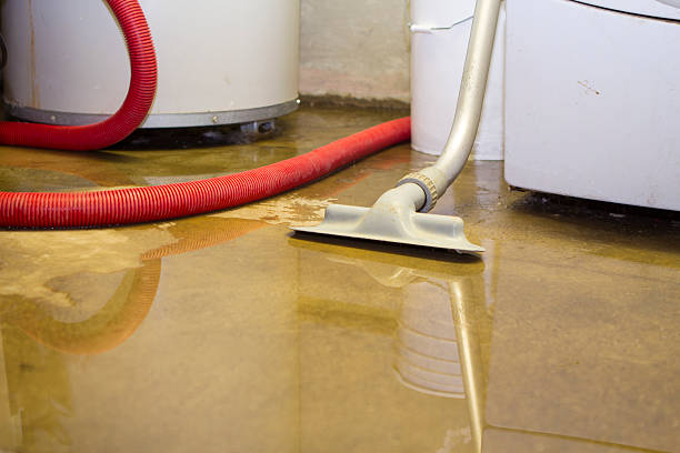 Professional Water damage restoration in Lincoln, AL